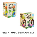 Craft and Grow Project Kit with Seeds