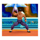 Street Fighter Fei Long (P2) Deluxe 6" Action Figure