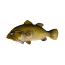 Barramundi Fish Bottle Opener
