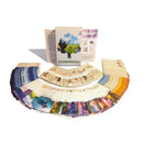 Phanerozoic Board Game