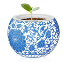  Puzzle 3D Maceta Pintoo 80pzs