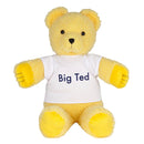  Jugar a la escuela de peluche