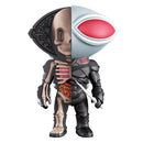  Figura de anatomía divertida XXRAY