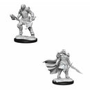  D&D Nolzurs Miniaturas sin pintar