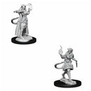  D&D Nolzurs Miniaturas sin pintar