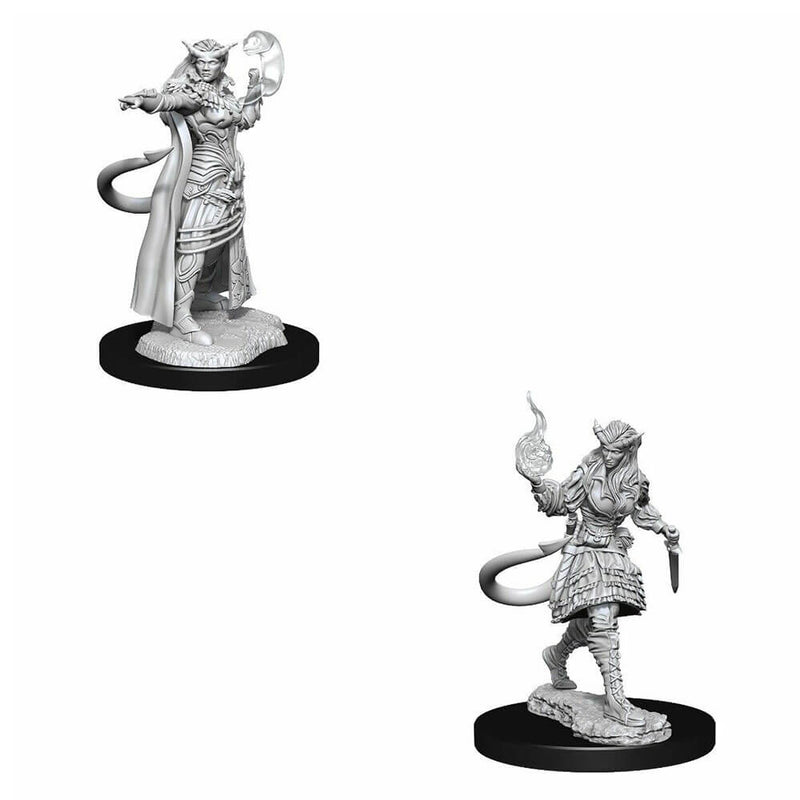  D&D Nolzurs Miniaturas sin pintar