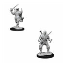  D&D Nolzurs Miniaturas sin pintar