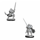  D&D Nolzurs Miniaturas sin pintar