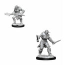  D&D Nolzurs Miniaturas sin pintar