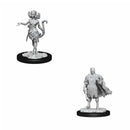  D&D Nolzurs Miniaturas sin pintar