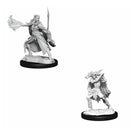  D&D Nolzurs Miniaturas sin pintar