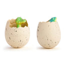  Huevo de cultivo gigante