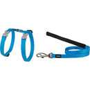  Combo clásico de arnés y correa para gatos